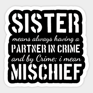 Sisters and Brothers be like True Partners in Crime Sticker